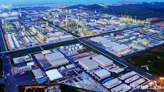 15504685.png 15504685.png