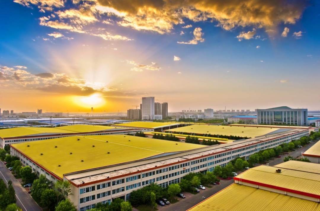 15504688.png 15504688.png