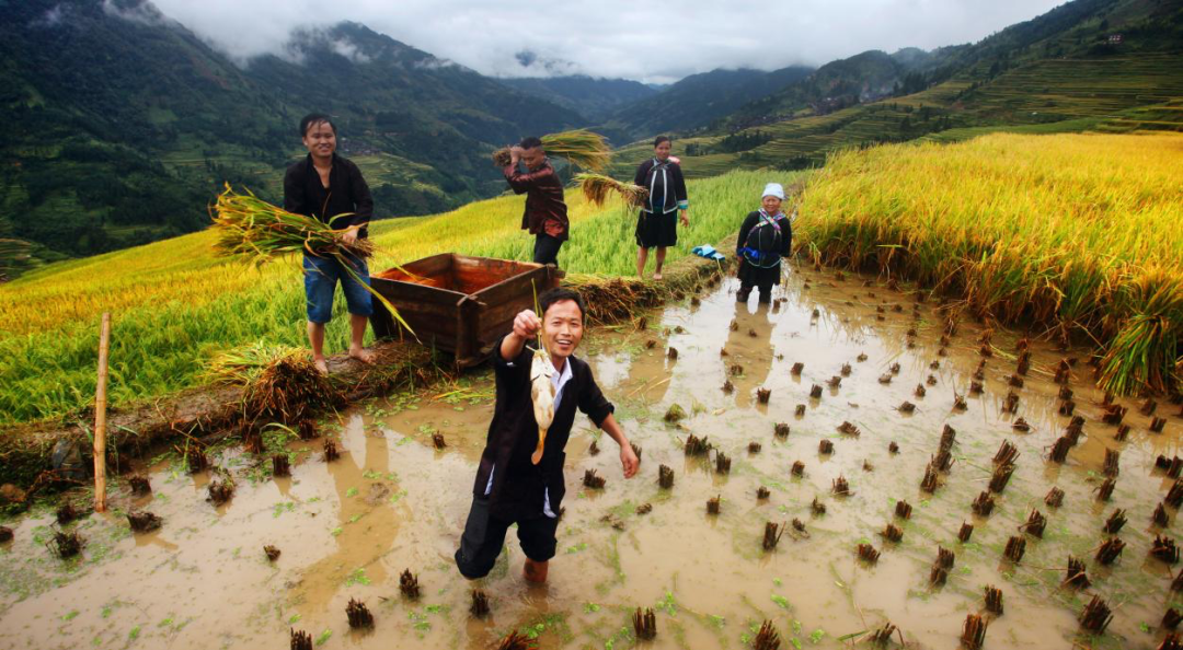 15504689.png 15504689.png